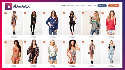 How To Create An eCommerce Website FREE With Wordpress 2020! [Elementor WooCommerce Tutorial]💰✅